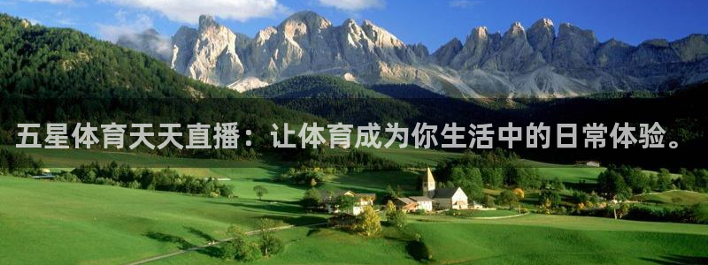 玩球直播网站
